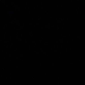 Meet your Posher, Shoshana